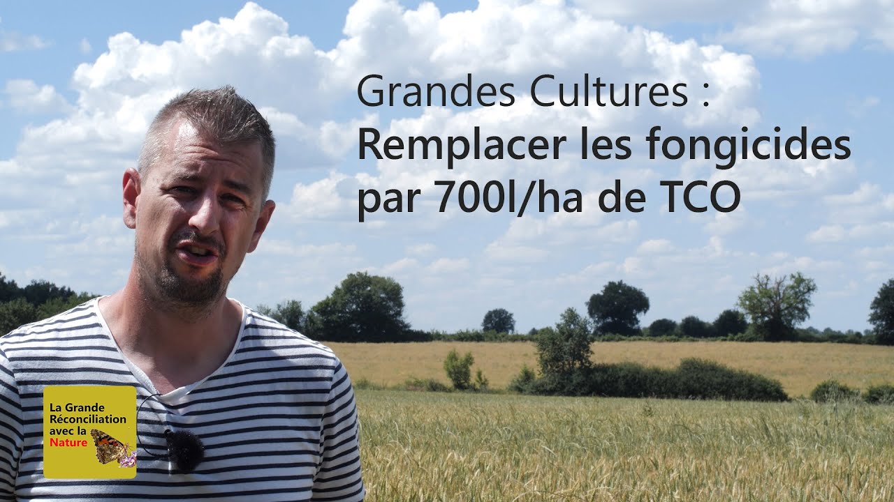 N°3 Remplacer les fongicides par des TCO en grandes cultures