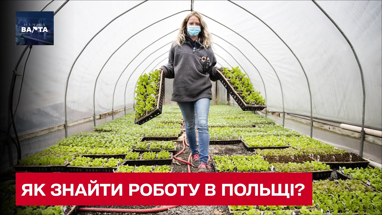Работа в Польше: условия, зарплата и сложности трудоустройства