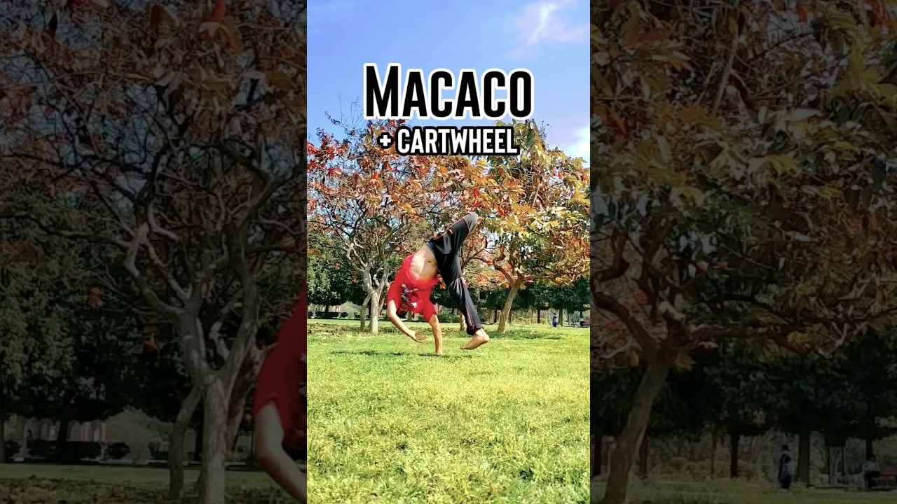 Macaco Variations 💯 follow @Naresh_Draw  🔥#macaco #macacos #capoeira #variations #flips #bboy