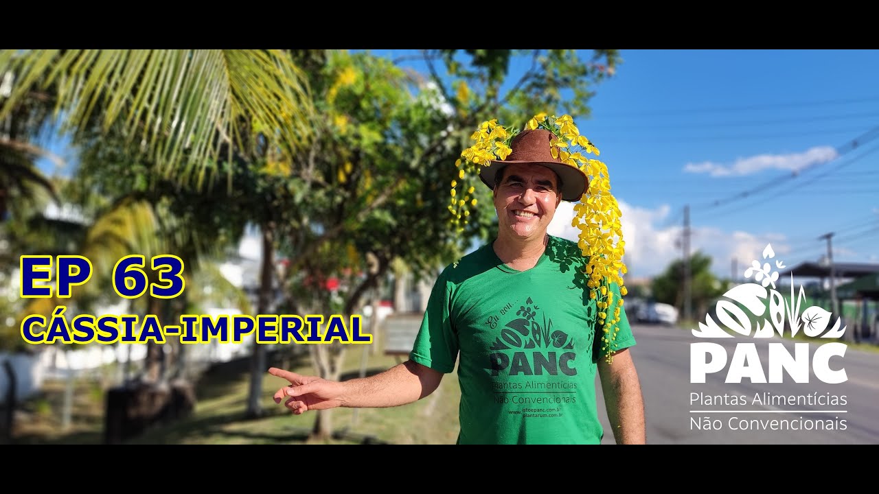 EPISÓDIO 63 - CÁSSIA-IMPERIAL | #pancnaveia #valdelykinupp