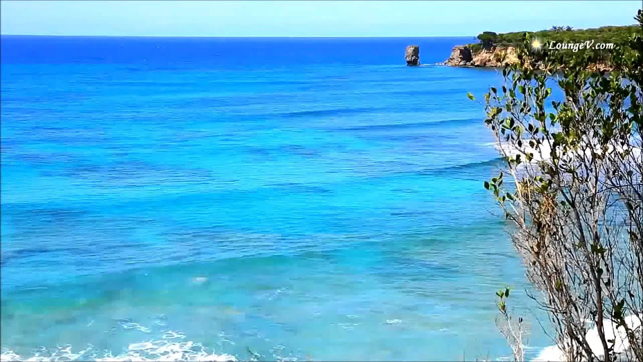 Licence to Chill ( Remix) Marcus Koch - Barbados