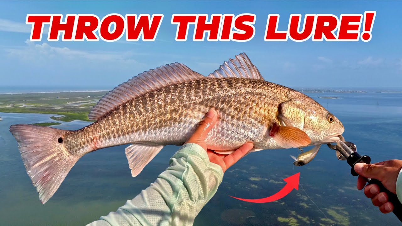Wade Fishing for Redfish with a WAKEBAIT! INSANE Action!