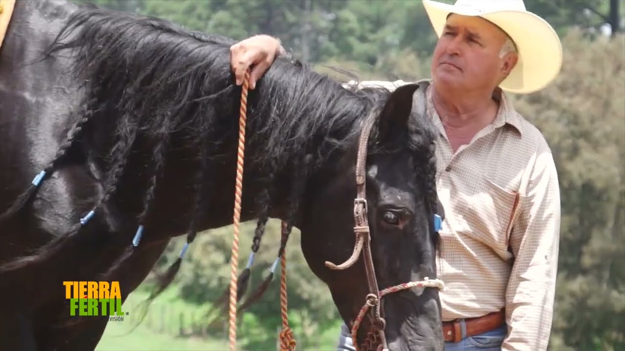 TIERRA FÉRTIL TV-DOMA DE CABALLOS Y PRODUCCIÓN DE PULQUE (24.08.19)