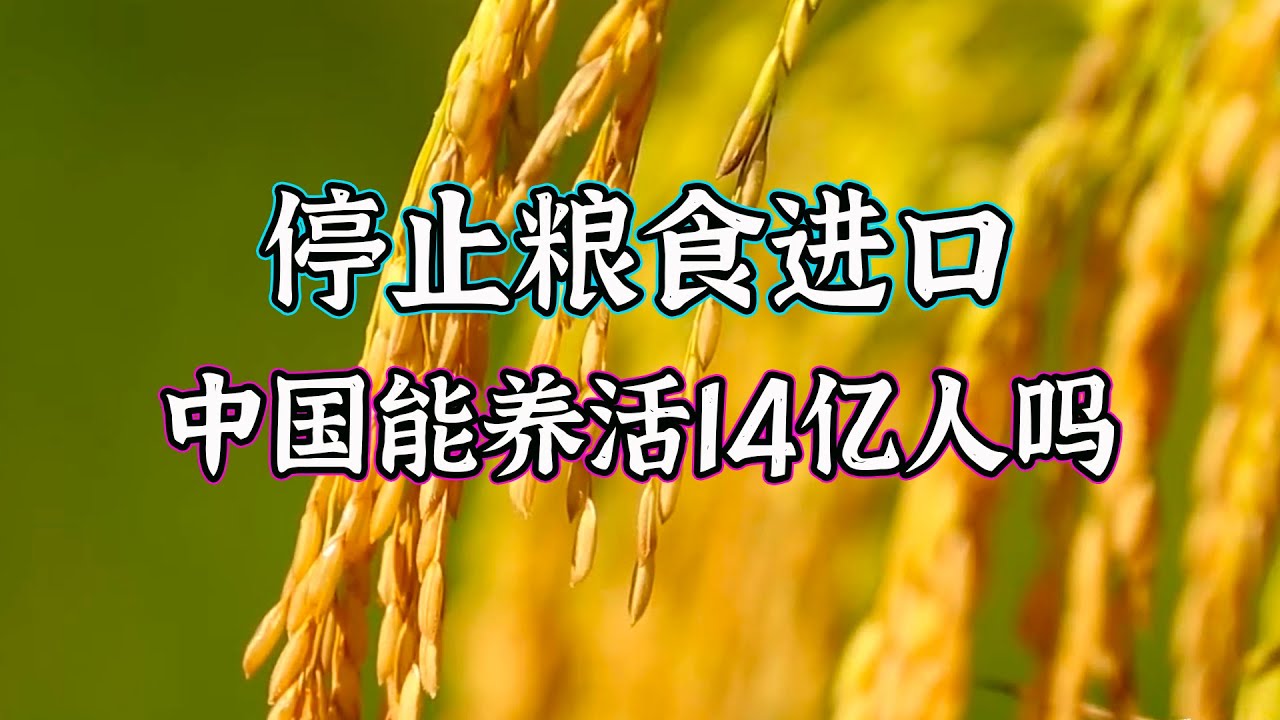 停止糧食進口！中國還能養活14億人嗎 ？