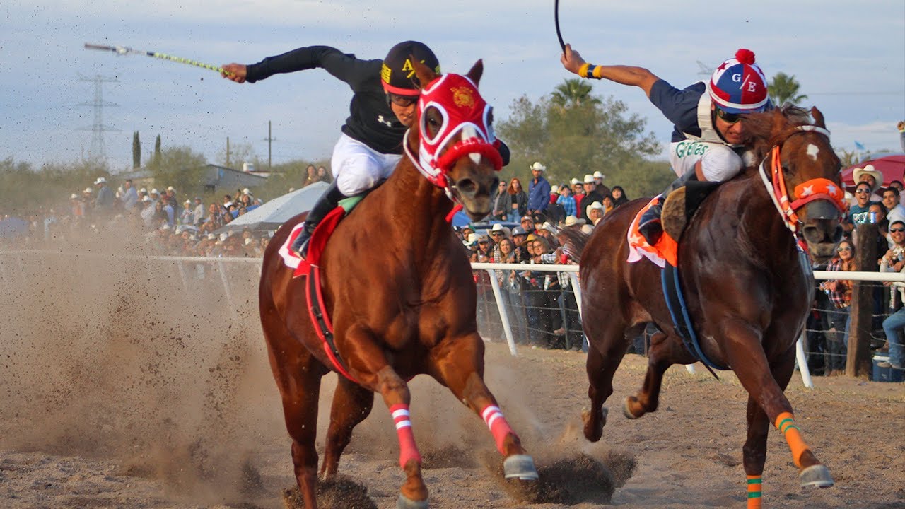 Carreras de Caballos en Cumpas 01 Enero 2024