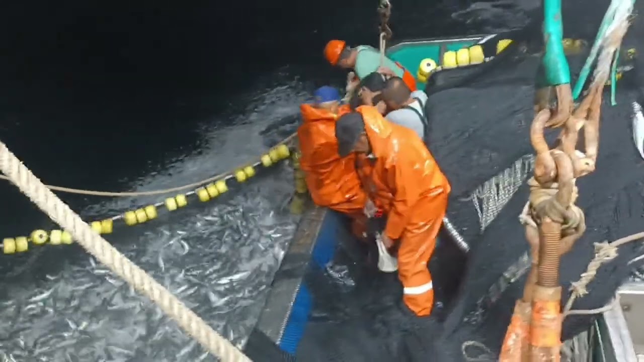 recibo la pesca de Dios EL lo ase,yo le doy la honrra la gloria y el honor 🙏(1)