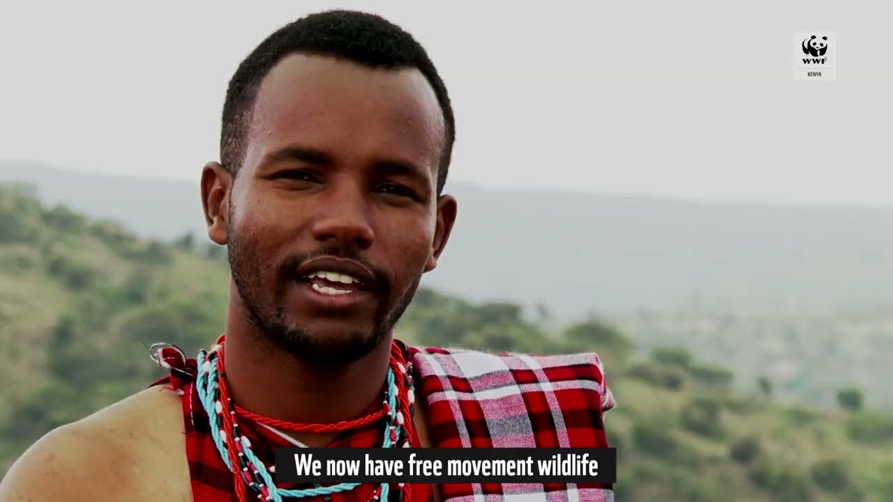 If We Can Save a Language Spoken by 10 People, We Can Save Lions and Elephants