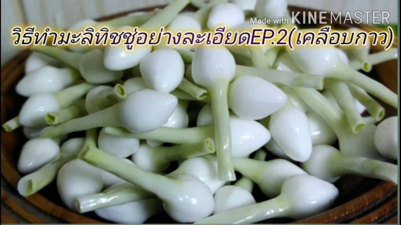 วิธีทำมะลิทิชชู่อย่างละเอียด​EP.2(เคลือบกาว)​