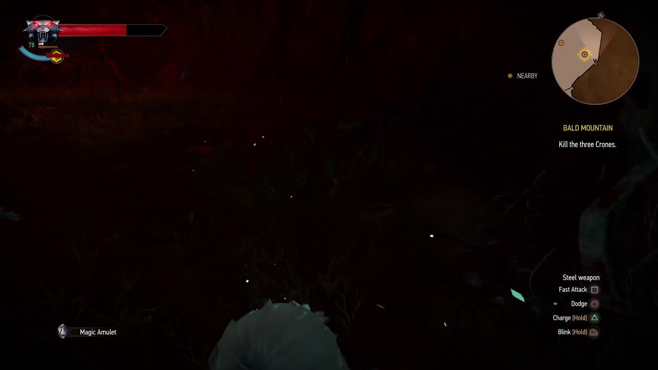 THE WITCHER
WILD 3HUNT