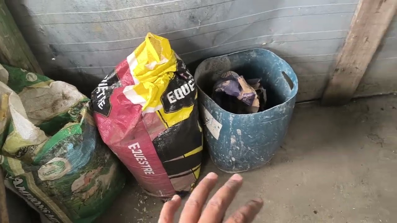 Reforma da baia Pt 5 minha criação de Codornas