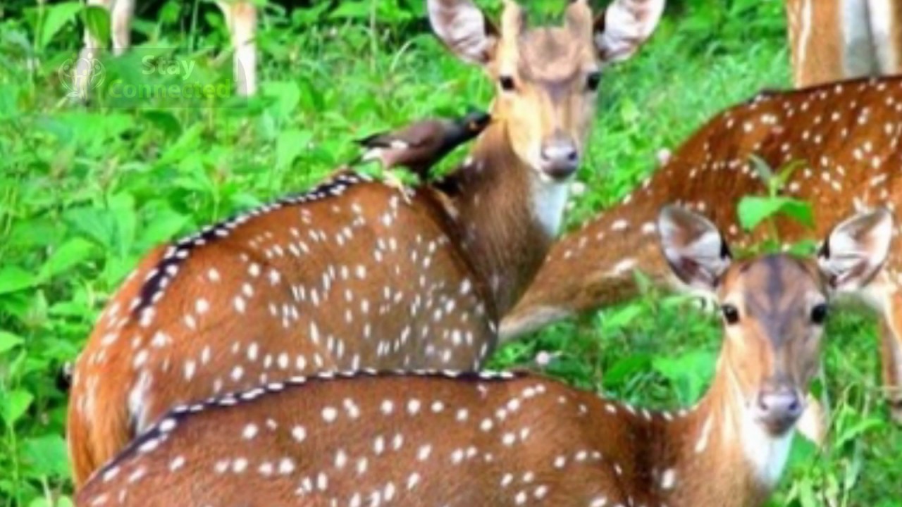 Top Famous Places to visit in Hoshiarpur, Punjab, India