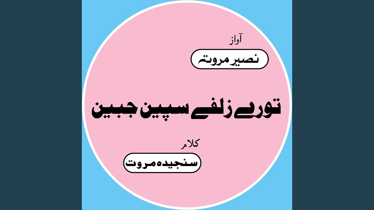 Tory Zulfe Spin Jabin