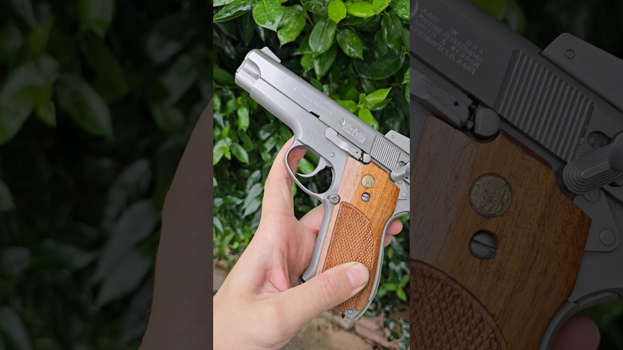 s&w 639