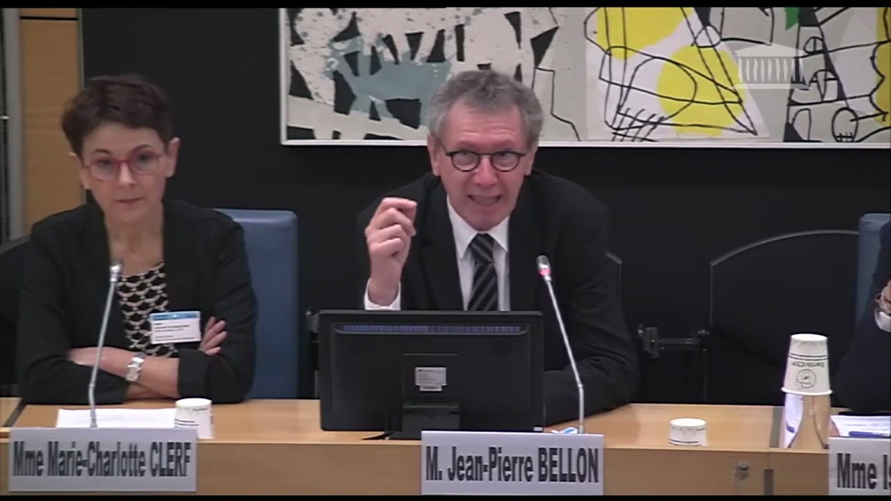 Intervention Jean-Pierre Bellon