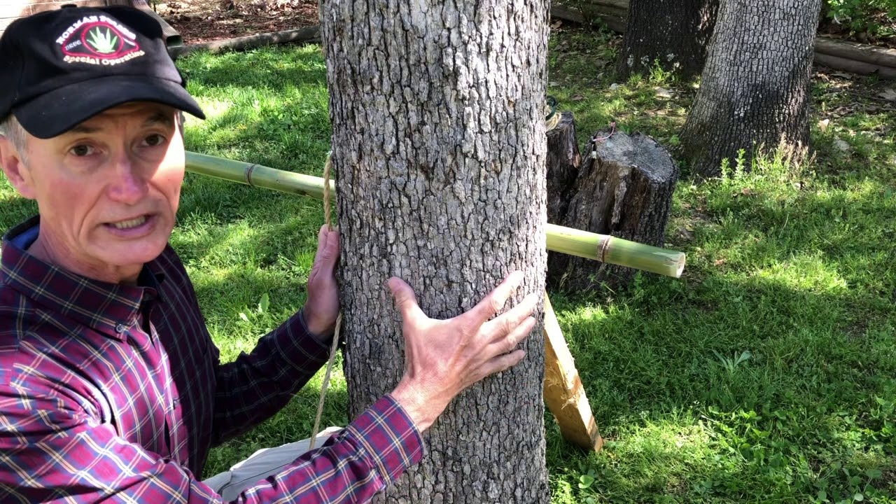 How I made a backyard pull-up bar