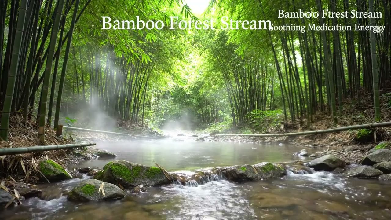Deep Forest Piano Mix for Work & Concentration