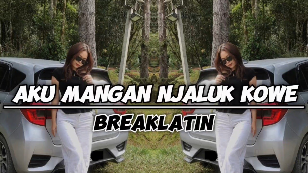 DJ Nicko Official - DJ Aku Mangan Njaluk Kowe (BreakLatin)