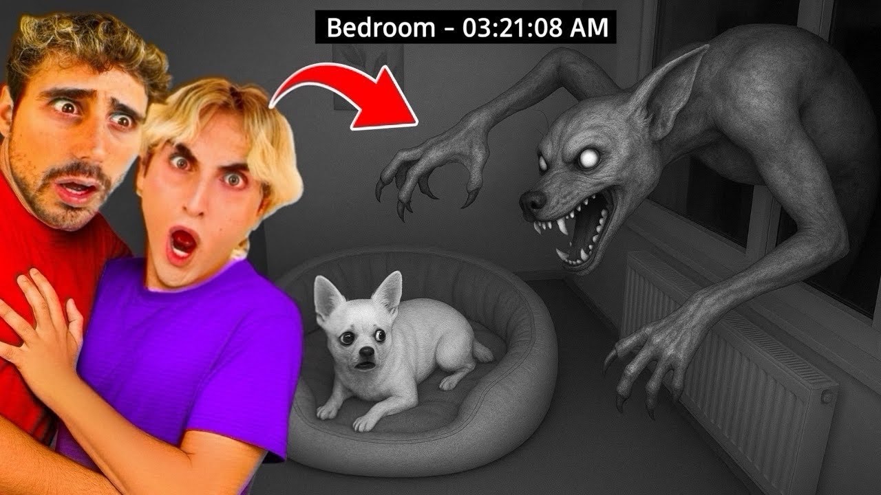 HE WAITS FOR OUR DOG TO FALL ASLEEP…😰