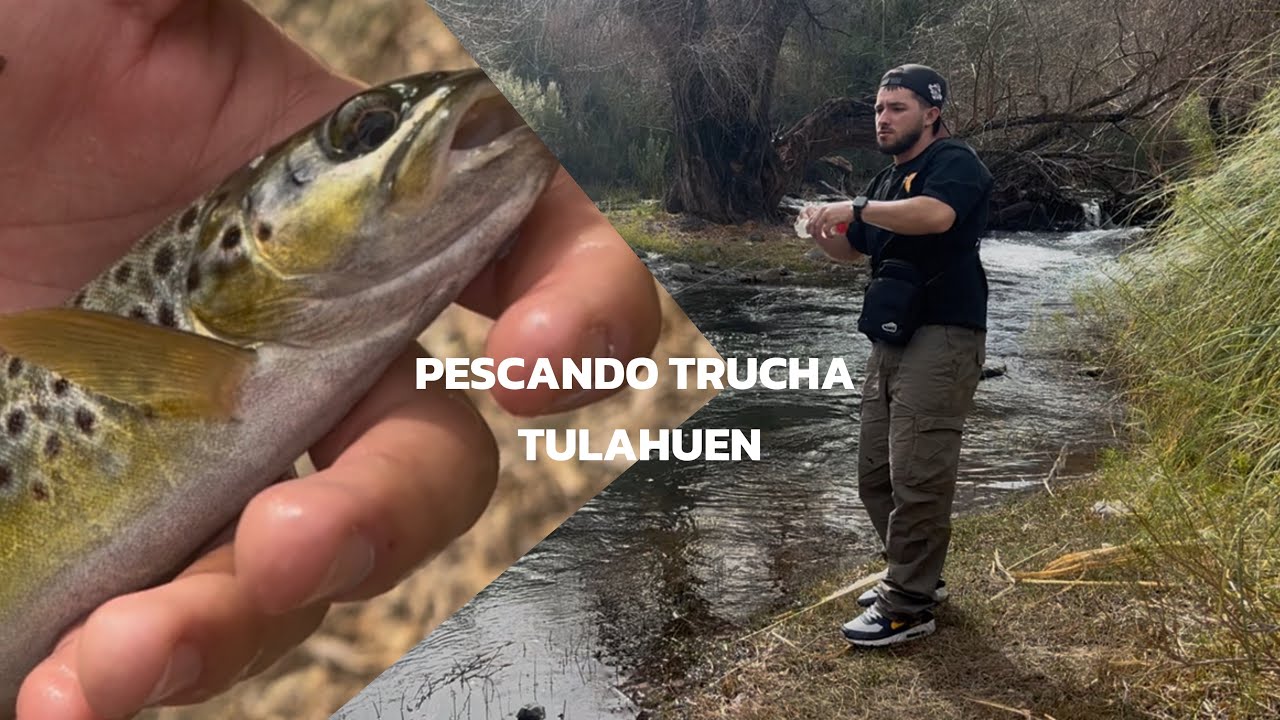 PESCANDO EN TULAHUEN 