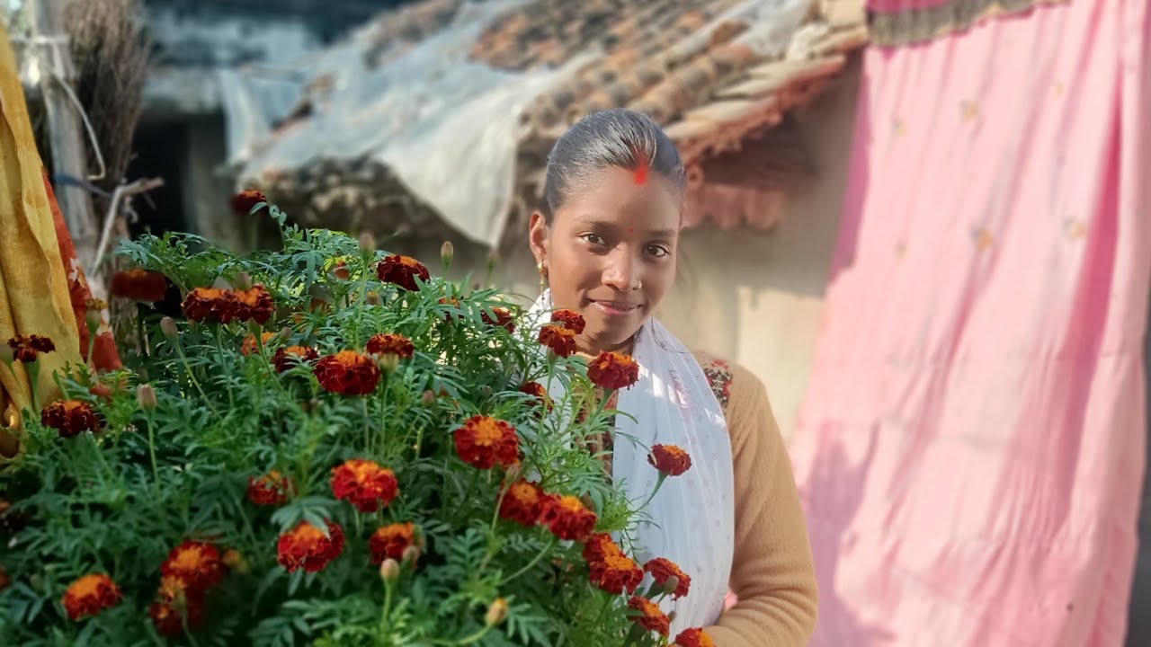 सुबह का एक लाइव वीडियो प्रतापगढ़ का