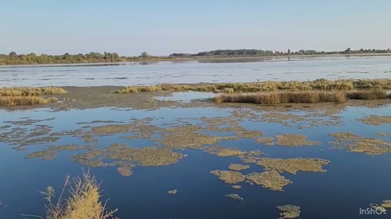 Заповедники Северной Италии. Вале Каваната, Градо,