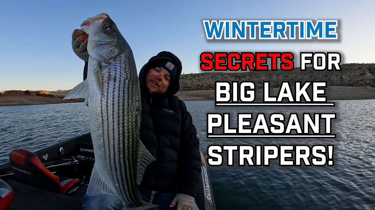 Wintertime Secrets For BIG Lake Pleasant Stripers!