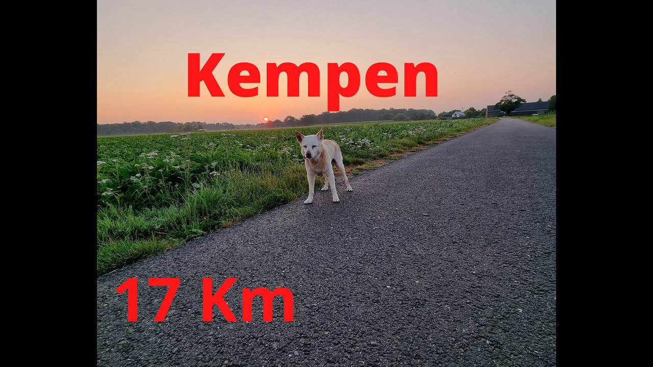 Kempen 16 Km, 23.07.2022