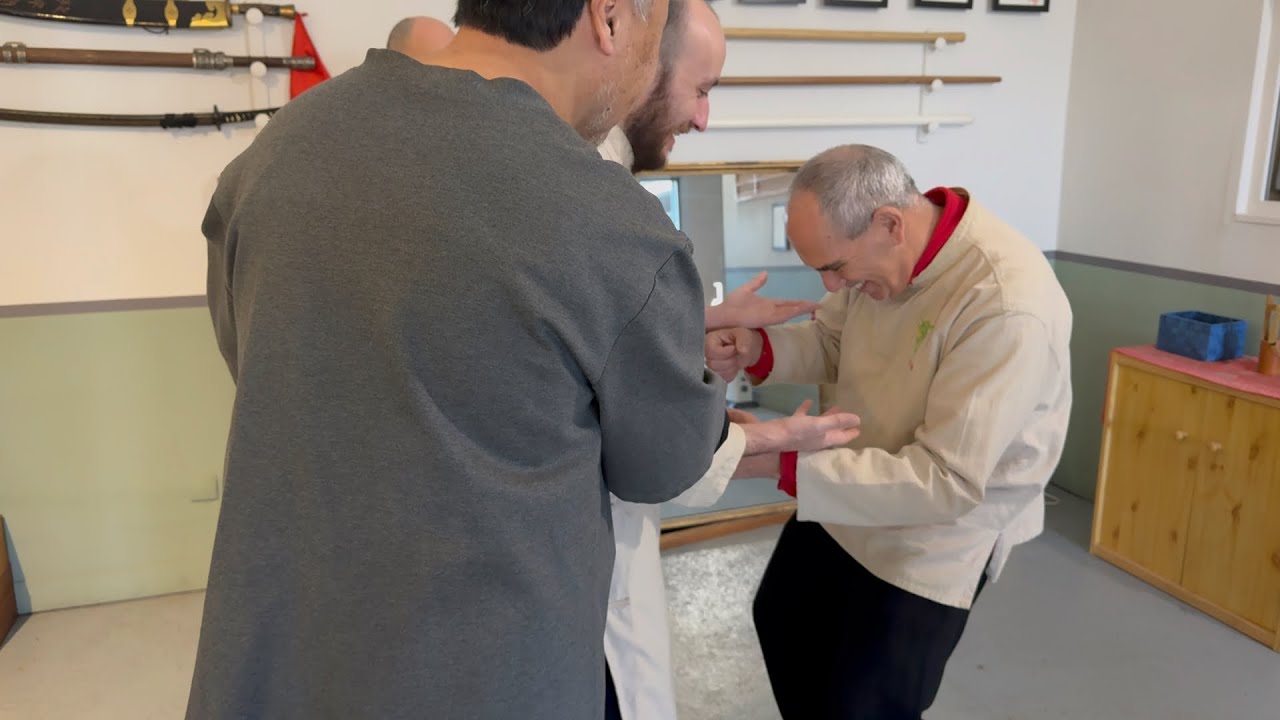 Arts martiaux internes - Qi Gong martial - Développer la faculté de conscience - Transmette le poids
