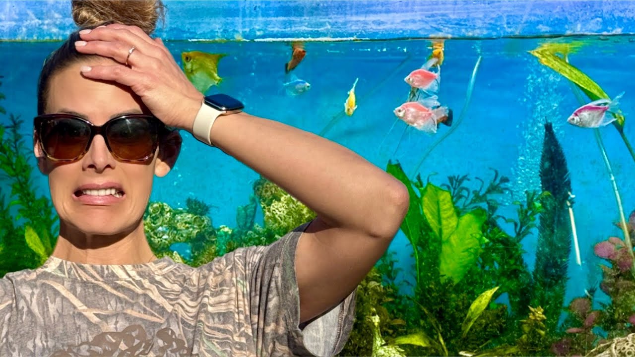 Epic Fish Tank Disaster! What Went Wrong?