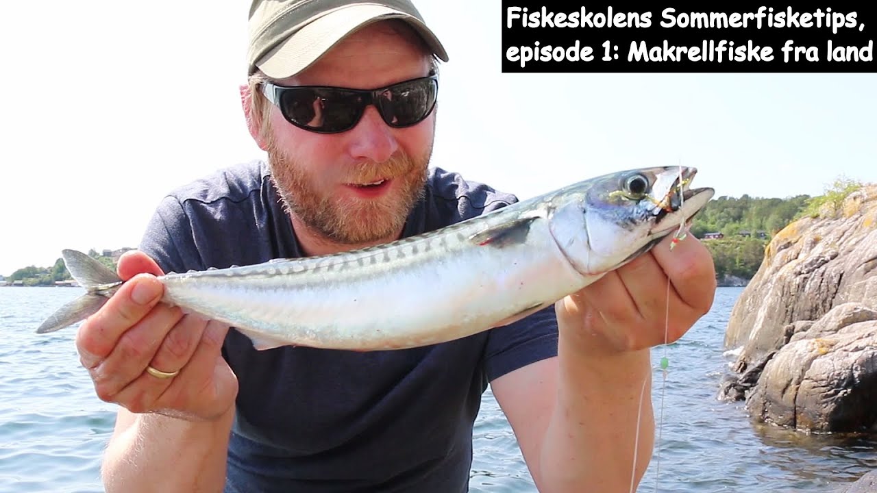 Fiskeskolens Sommerfisketips, episode 1: Makrellfiske fra land