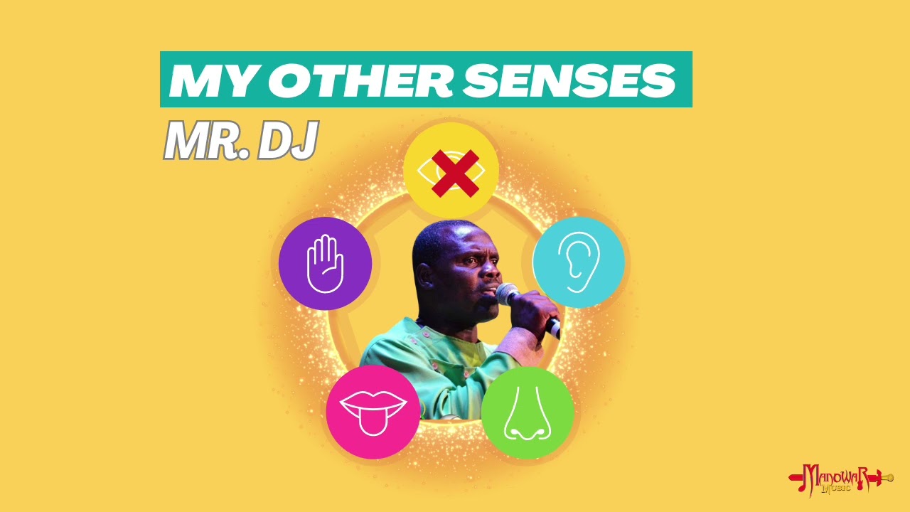 Mr. DJ - My Other Senses (Calypso 2024)