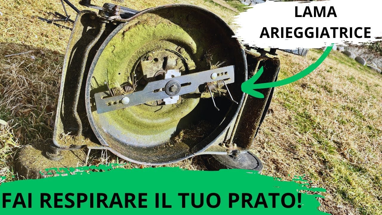 Ecco come avere l'erba più verde del vicino