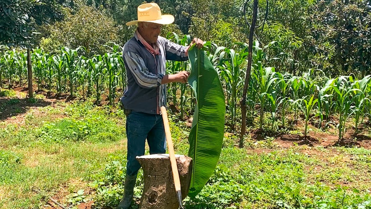 Barbacoa De Puerco Mi Receta De Mi Rancho A Tu Cocina