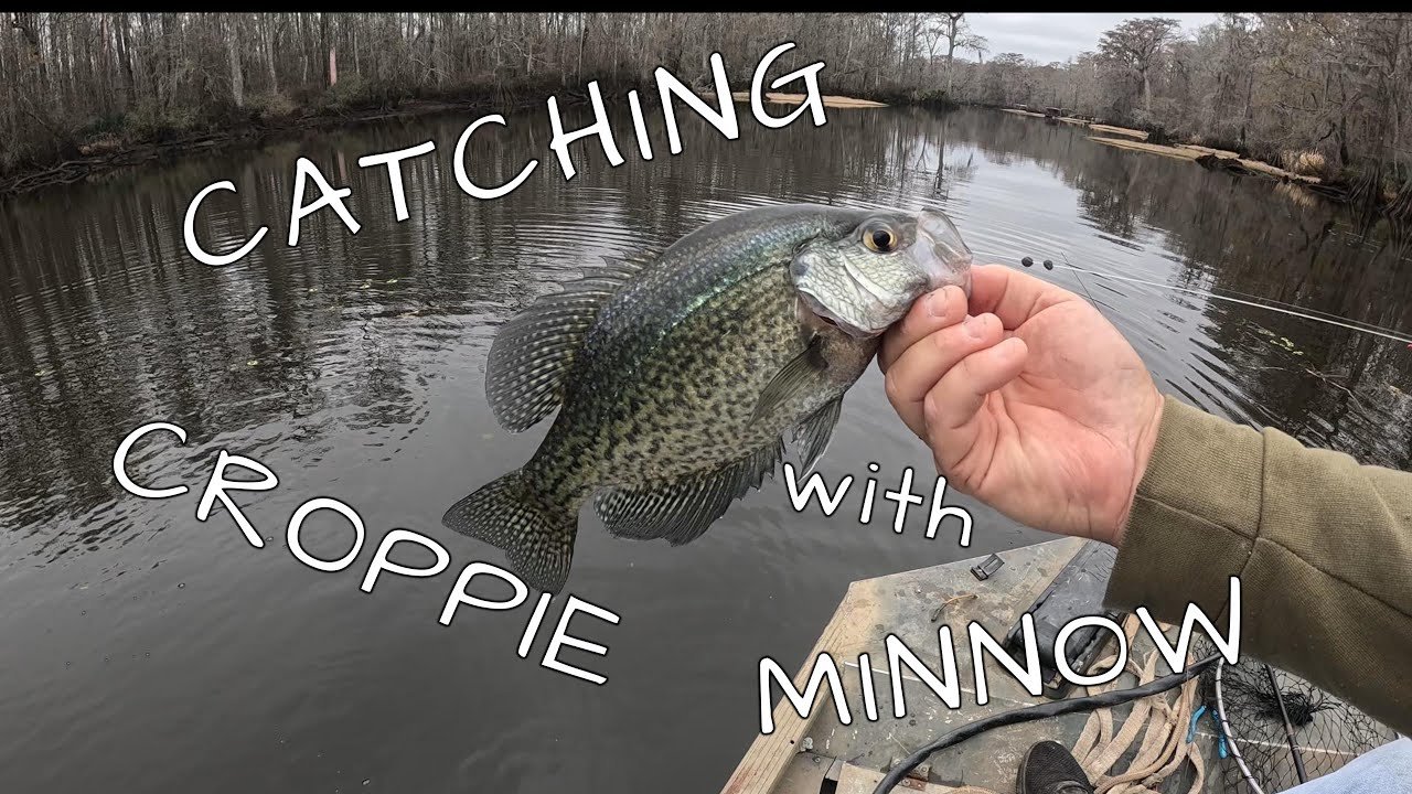 Catching Crappie with Minnows