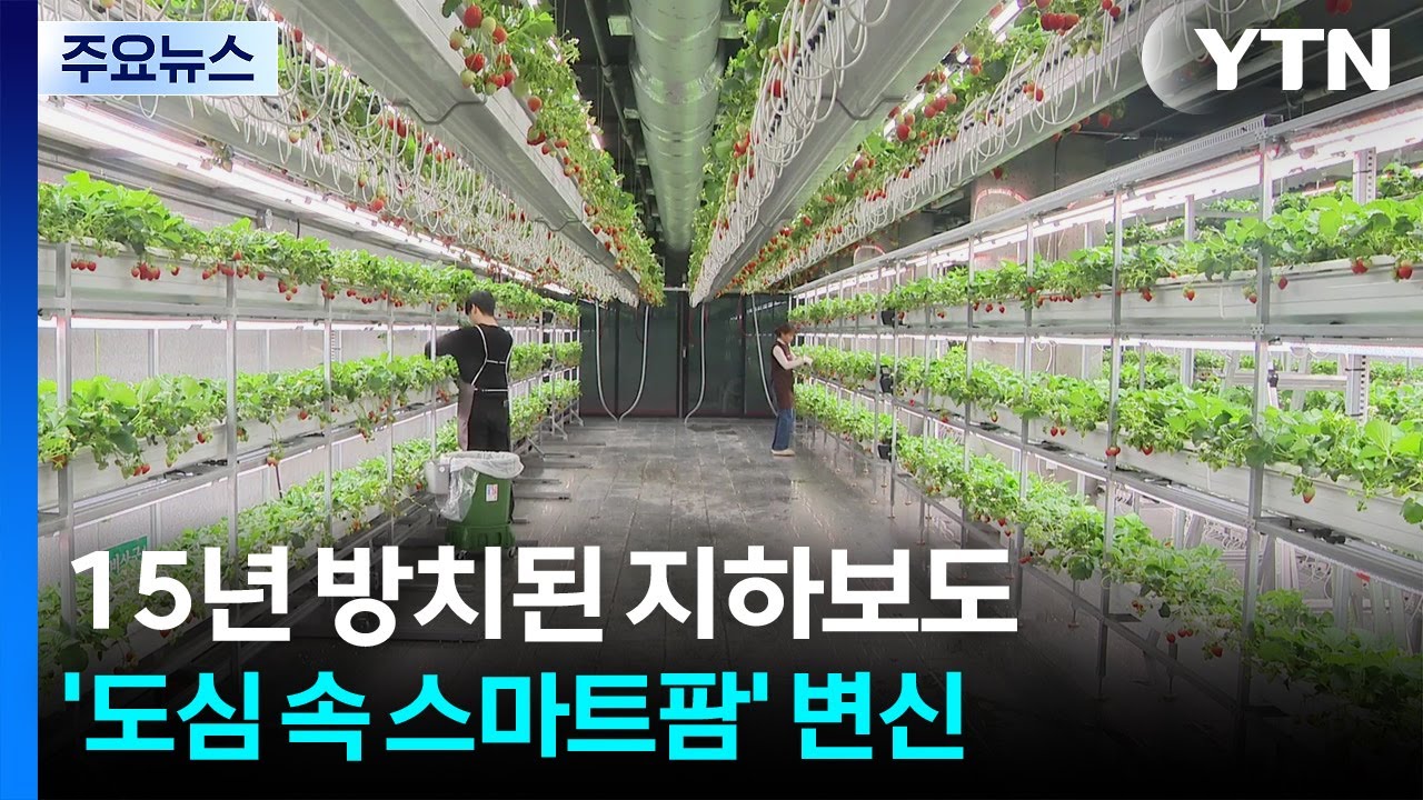 15년 방치된 지하보도...'도심 속 스마트팜' 변신 / YTN