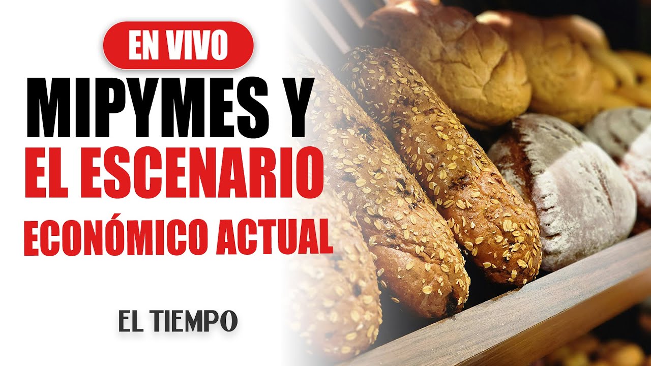 El futuro de las mipymes en medio de la coyuntura económica | EL TIEMPO