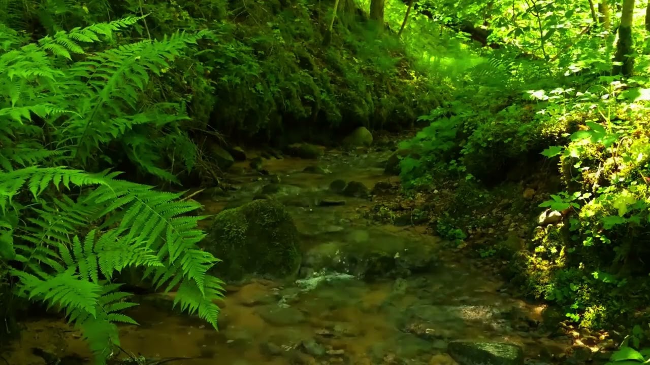 Piano Healing Sleep 💤 Nhạc Piano Nhẹ Nhàng Giúp Ngủ Ngon – Relax, Reduce Stress, Deep Sleep