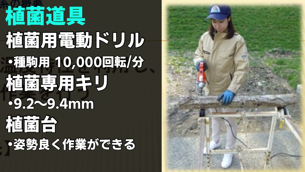 原木シイタケの栽培方法 植菌編