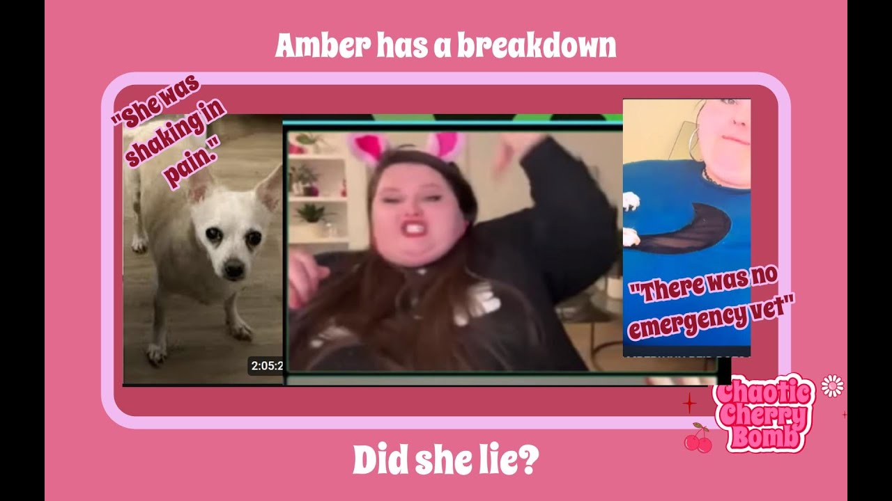 Did Amberlynn Lie about Twinkie?