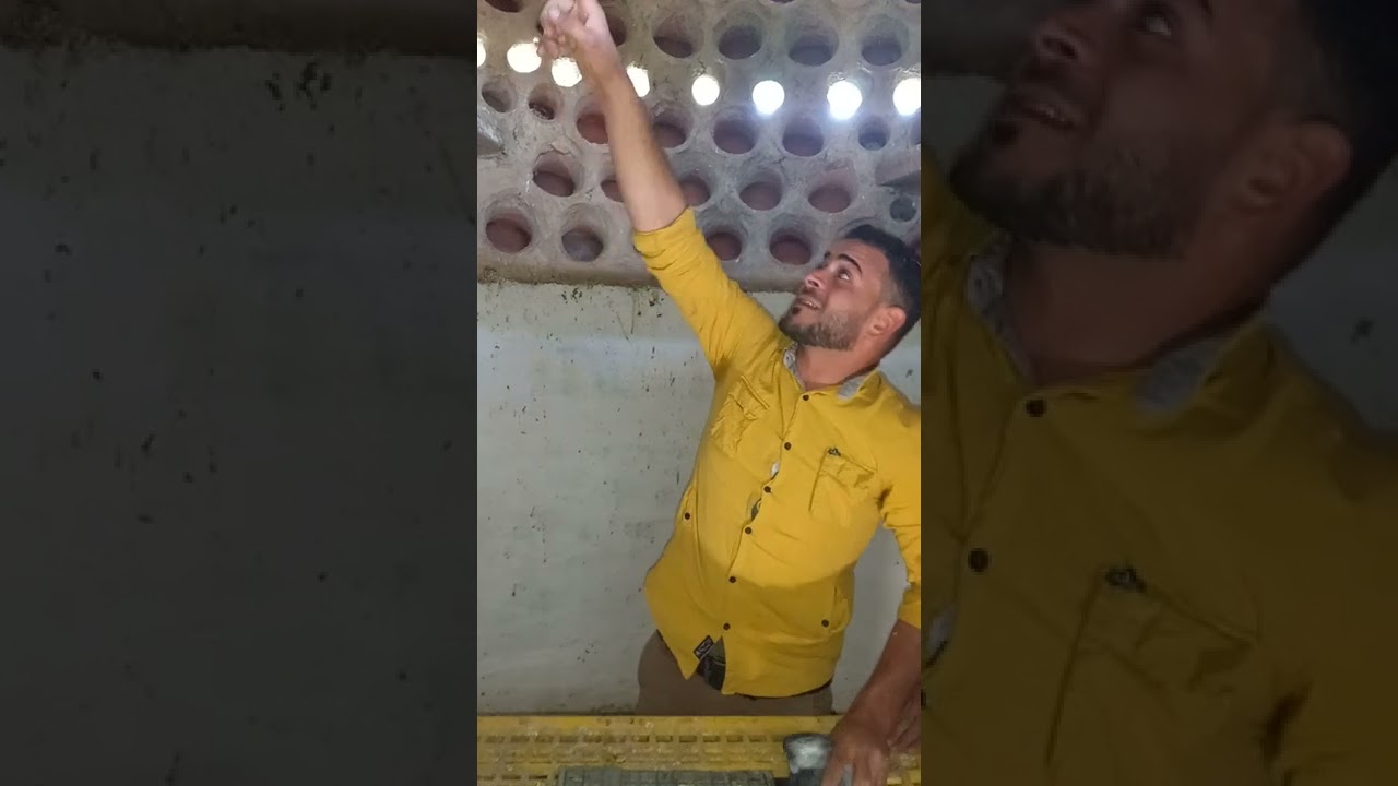 تنزيل زريعه حمام داخل البرج وشرح مهم جدا في وسائل التربيه تصميم عبدالله الفخراني 01016803838