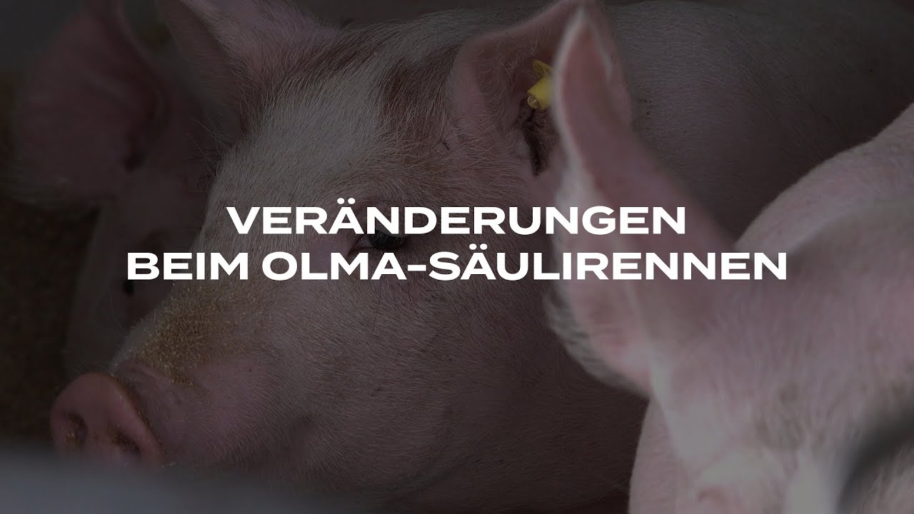 Veränderungen beim Säuli-Rennen
