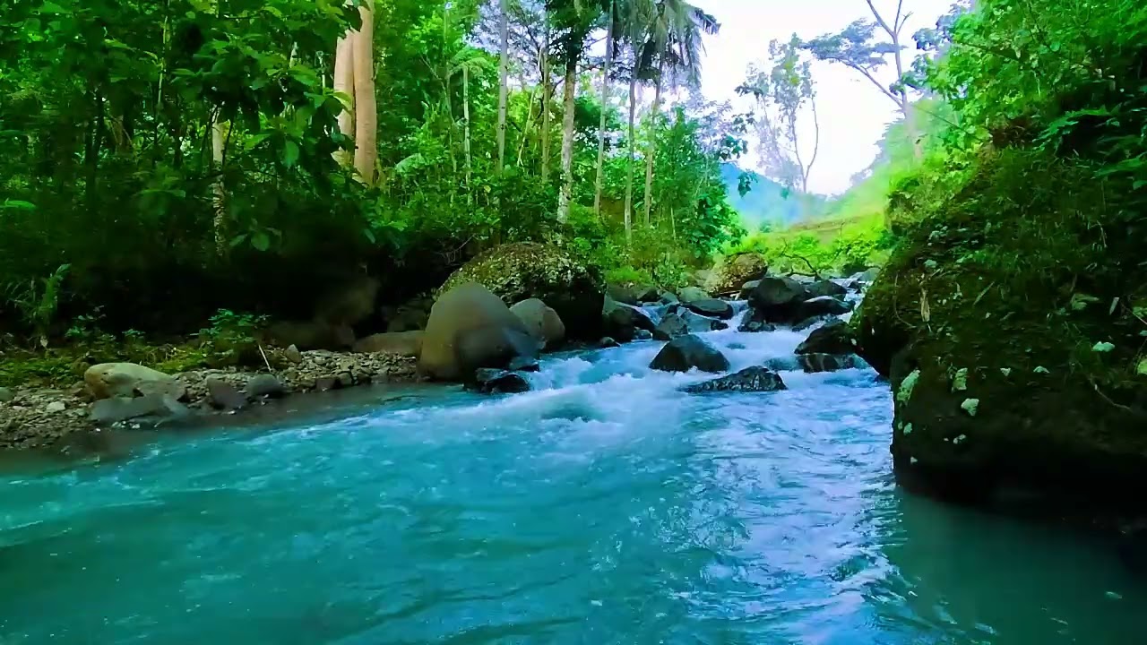 Ambient Water Sounds of a Flowing Stream | Nature White Noise for Sleep, Focus, and Healing