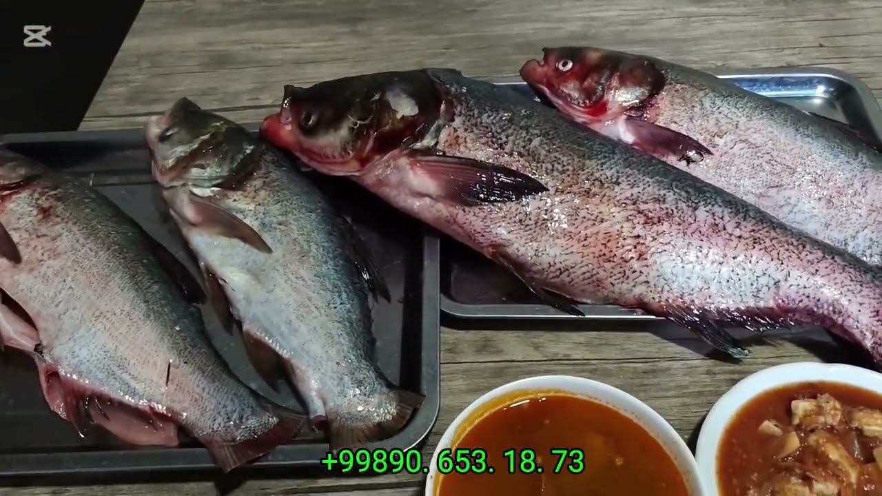 ШЫМБАЙДА ЗОР ЖАНАЛЫК ЕНДИ КУУЫРЫЛГАН БАЛЫК КУУЫРДАХ БАХАСЫ КАНША ? 