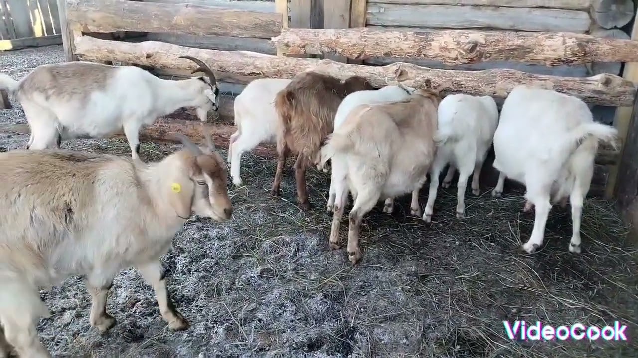 Осенние вопросы
