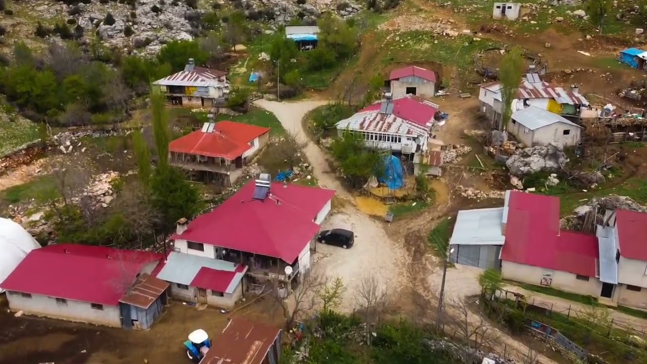 Kahramanmaraş Andırın akğümüş bunduk