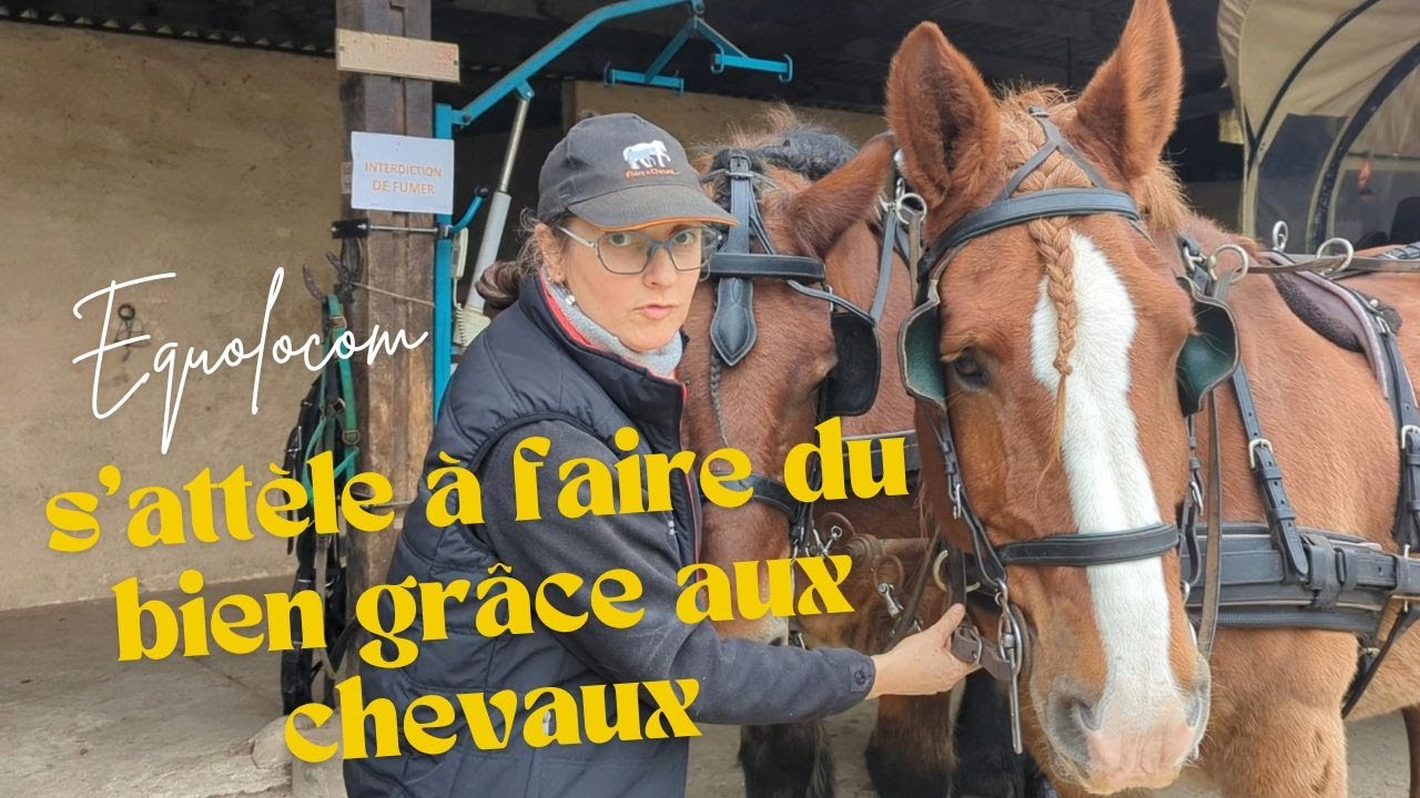 Détente et Sourires : Les Bienfaits des Balades en Calèche