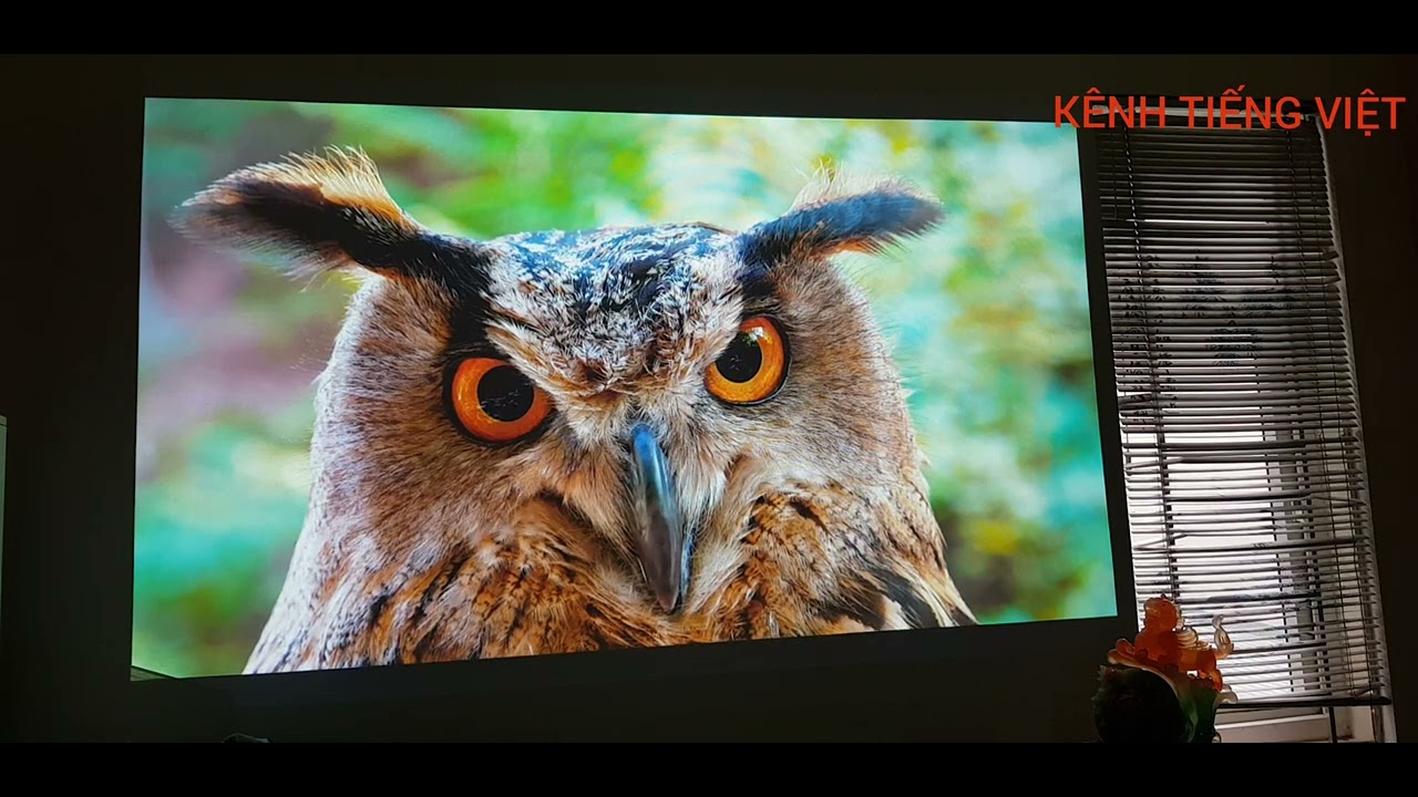 Một em Epson EB 685wt đẹp xuất sắc 👍♥- Lh: 0934337337