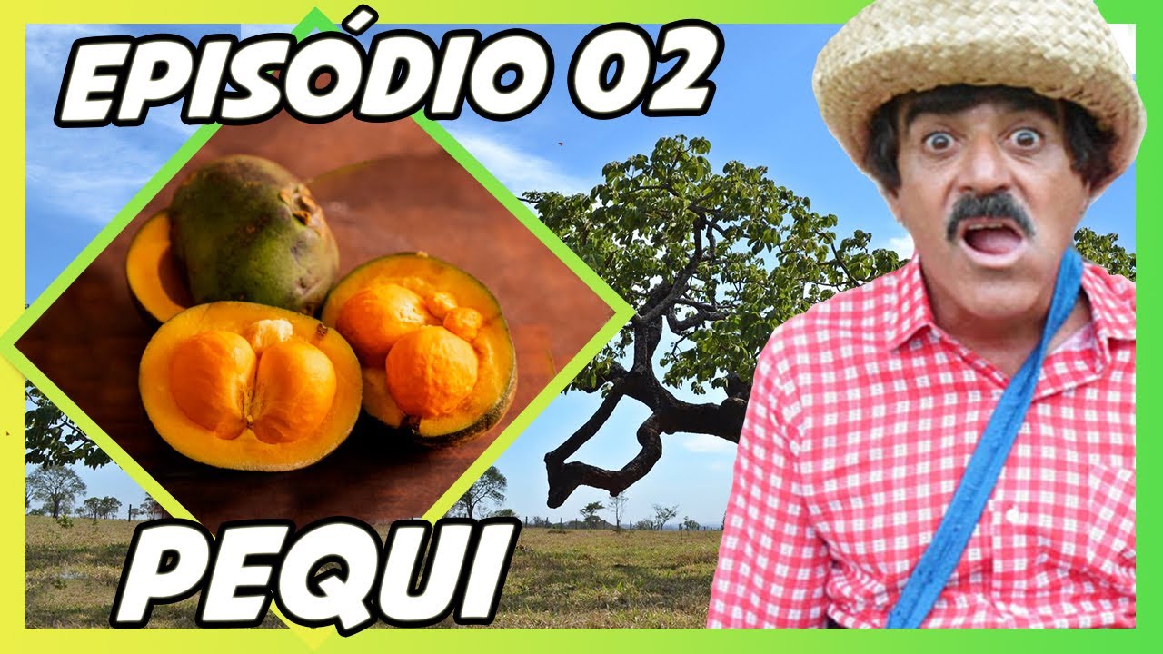 IMBILINO E OS FRUTOS DO CERRADO - EPIS&Oacute;DIO 02: PEQUI