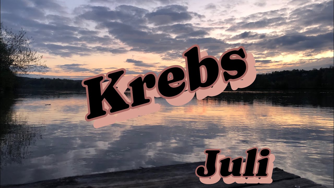 Krebs 🌊 Juli 24 ~ Intensive Reinigungsphase