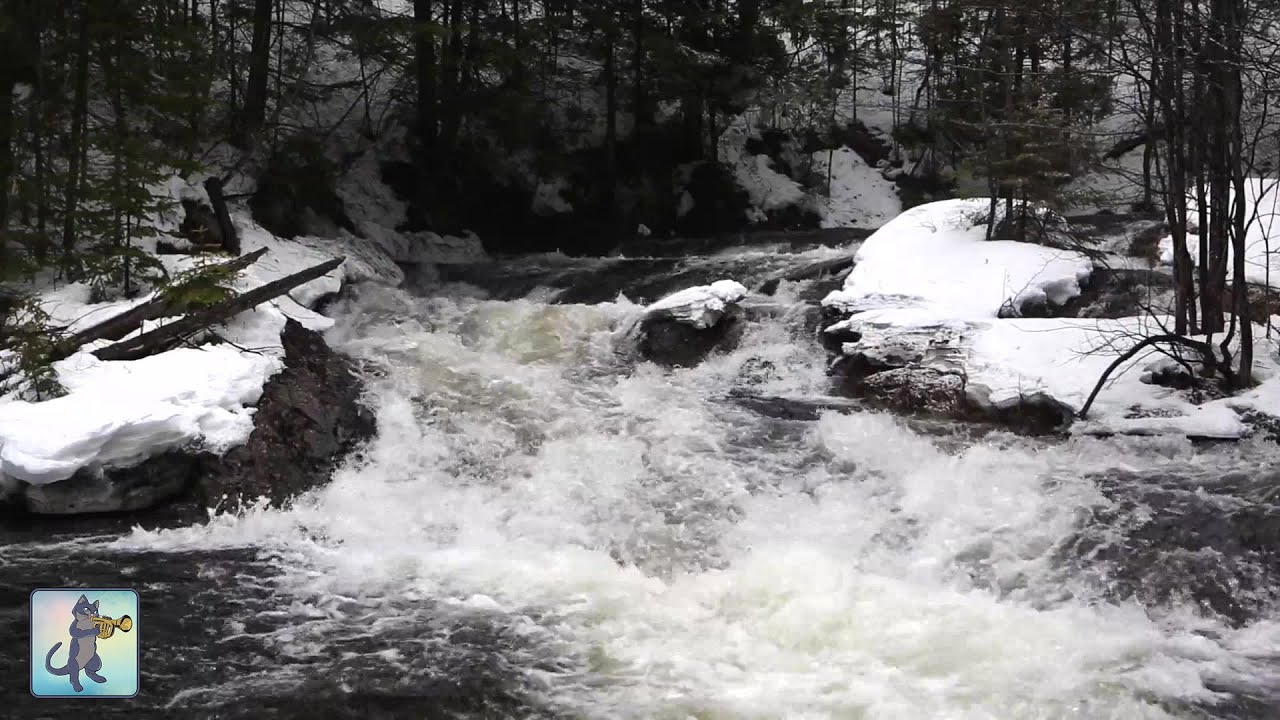 12 HOURS of Relaxing River Sounds - Peaceful Winter Forest River & Gentle Stream (Sleep Sounds)